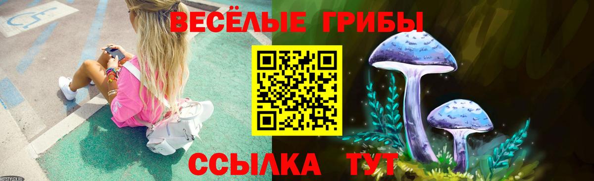Королёв  Галлюциногенные грибы прущие грибы  Вход с VPN 